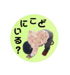 すけぴよどんどこどん再び。（個別スタンプ：15）