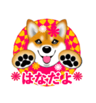 柴犬はなちゃんのスタンプだよ（個別スタンプ：1）