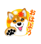 柴犬はなちゃんのスタンプだよ（個別スタンプ：2）