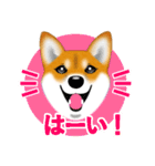 柴犬はなちゃんのスタンプだよ（個別スタンプ：4）