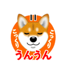 柴犬はなちゃんのスタンプだよ（個別スタンプ：9）