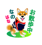 柴犬はなちゃんのスタンプだよ（個別スタンプ：13）