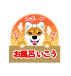 柴犬はなちゃんのスタンプだよ（個別スタンプ：17）