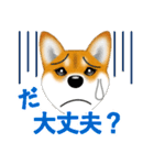 柴犬はなちゃんのスタンプだよ（個別スタンプ：19）