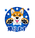 柴犬はなちゃんのスタンプだよ（個別スタンプ：30）