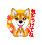 柴犬はなちゃんのスタンプだよ（個別スタンプ：32）