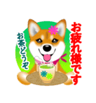 柴犬はなちゃんのスタンプだよ（個別スタンプ：34）