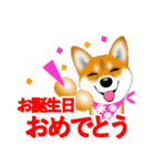 柴犬はなちゃんのスタンプだよ（個別スタンプ：36）