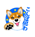 柴犬はなちゃんのスタンプだよ（個別スタンプ：37）