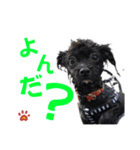 ルークだらけのスタンプ（個別スタンプ：11）