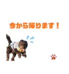 ルークだらけのスタンプ（個別スタンプ：13）