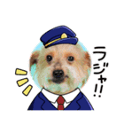 しょこさぶりぃ（個別スタンプ：1）
