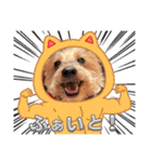 しょこさぶりぃ（個別スタンプ：4）