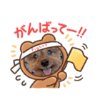 しょこさぶりぃ（個別スタンプ：5）