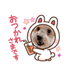 しょこさぶりぃ（個別スタンプ：7）