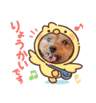 しょこさぶりぃ（個別スタンプ：14）