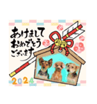 しょこさぶりぃ（個別スタンプ：15）