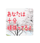 「ブラック企業」に勤める方のスタンプ（個別スタンプ：20）