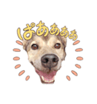 あはぴにゅ、year（個別スタンプ：5）