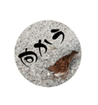 鳥さん、（個別スタンプ：6）