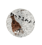 鳥さん、（個別スタンプ：8）