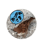 鳥さん、（個別スタンプ：14）