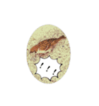 鳥さん、（個別スタンプ：19）