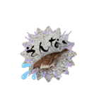 鳥さん、（個別スタンプ：40）