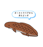 肺魚スタンプ（個別スタンプ：29）