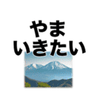 障害者＆喋れない人用•意思疎通アシスト3（個別スタンプ：2）