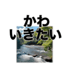 障害者＆喋れない人用•意思疎通アシスト3（個別スタンプ：3）