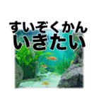 障害者＆喋れない人用•意思疎通アシスト3（個別スタンプ：6）