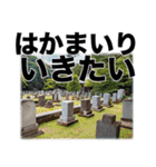 障害者＆喋れない人用•意思疎通アシスト3（個別スタンプ：10）