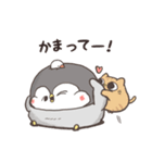 ペンギンのちゃんぺん（個別スタンプ：5）