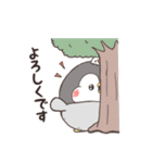 ペンギンのちゃんぺん（個別スタンプ：31）