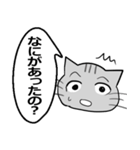 ひと言伝えるふきだしネコ 24（個別スタンプ：27）