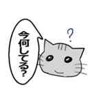 ひと言伝えるふきだしネコ 23（個別スタンプ：7）