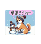 動くドット柴【冬】（個別スタンプ：10）
