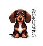 ドット絵 ミニチュア ダックス チョコ タン（個別スタンプ：25）