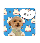 らる×スク（個別スタンプ：2）