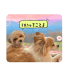 らる×スク（個別スタンプ：3）