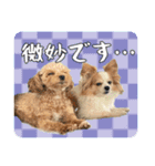 らる×スク（個別スタンプ：4）