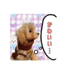 らる×スク（個別スタンプ：5）