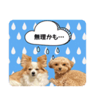 らる×スク（個別スタンプ：9）