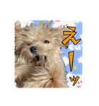 らる×スク（個別スタンプ：12）