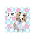 らる×スク（個別スタンプ：13）