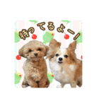 らる×スク（個別スタンプ：14）