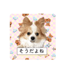 らる×スク（個別スタンプ：15）