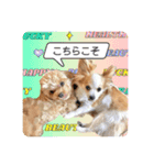 らる×スク（個別スタンプ：16）