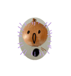 玉ねぎさん、（個別スタンプ：12）